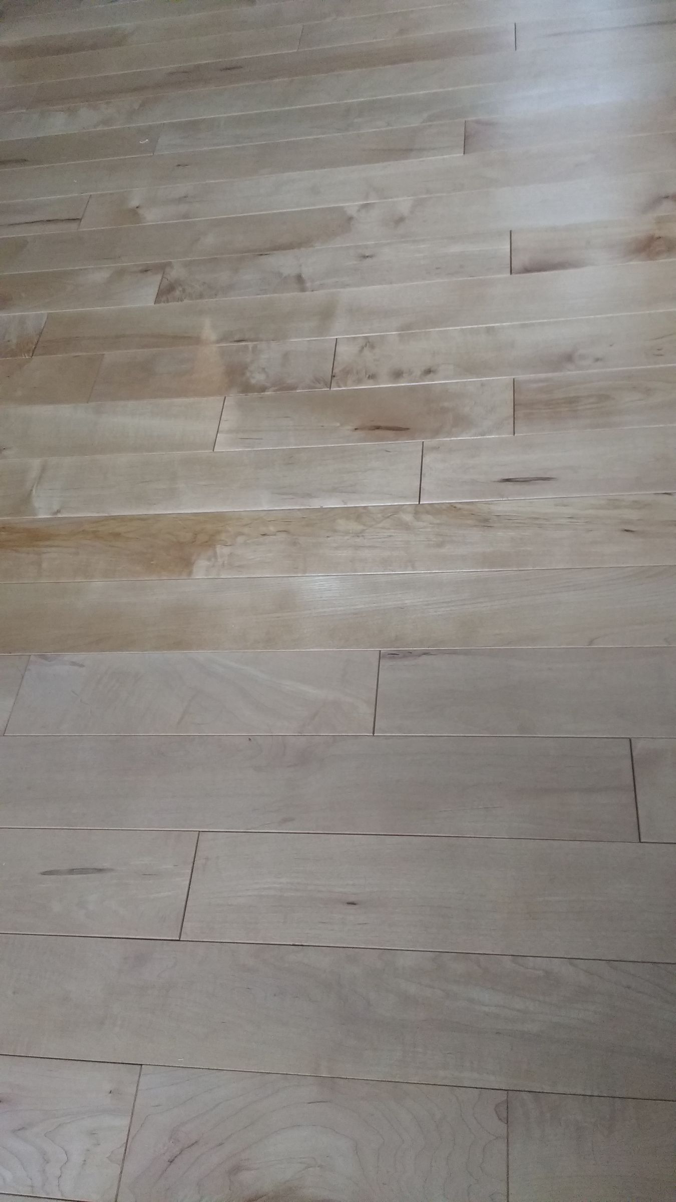 Planche bois franc ( érable) pré huilé Ardec Produits pour bois